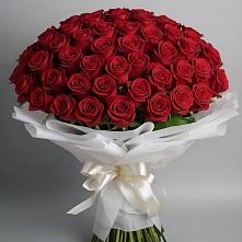 Букет 101 Красная роза Блэк Мэджик в Острогожске