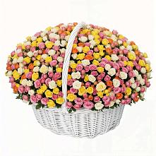 Премиум букет из: Розы в Острогожске