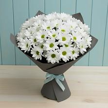 Букет цветов из:  Хризантемы в Острогожске