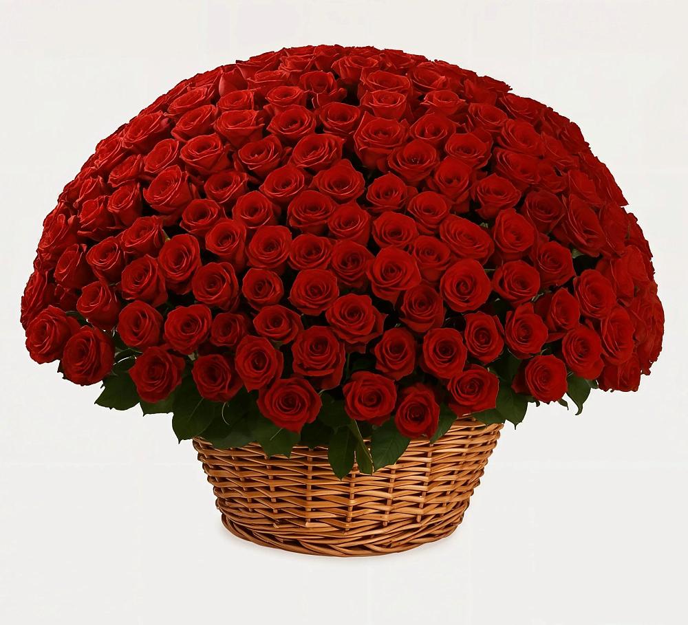 Премиум букет из: Розы в Острогожске