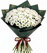 Букет цветов из:  Хризантемы в Острогожске