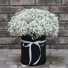 Цветочная композиция из Гипсофила в шляпной коробке в Острогожске